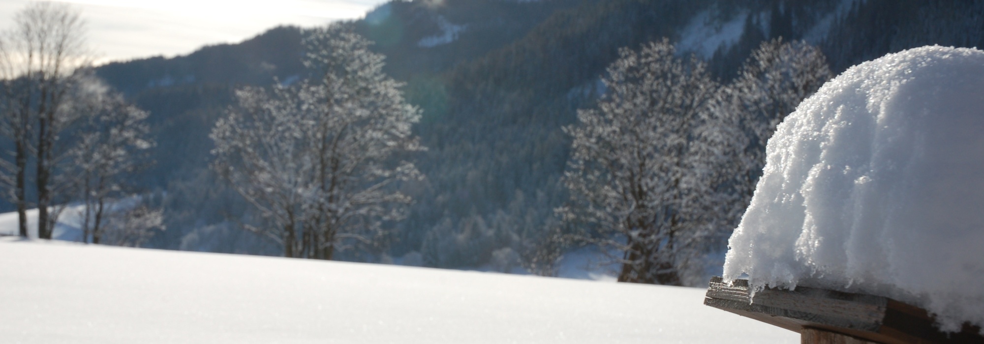 Winterurlaub am Ferienbauernhof Handl in der &quot;Steirischen Krakau&quot;