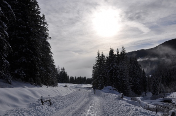 Winterurlaub am Ferienbauernhof Handl in der „Steirischen
Krakau“