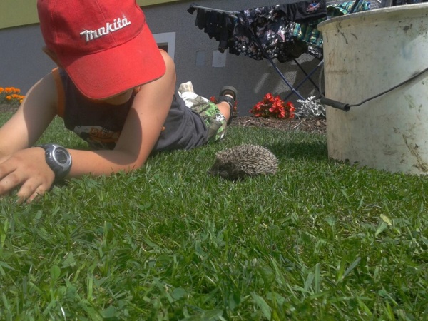 Urlaub am Ferienbauernhof Handl in der &quot;Steirischen Krakau&quot;