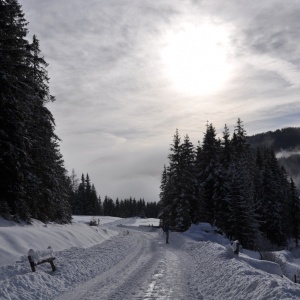Winterurlaub am Ferienbauernhof Handl in der „Steirischen
Krakau“