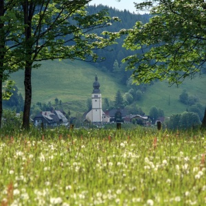 Sommerurlaub am Ferienbauernhof Handl in der „Steirischen
Krakau“