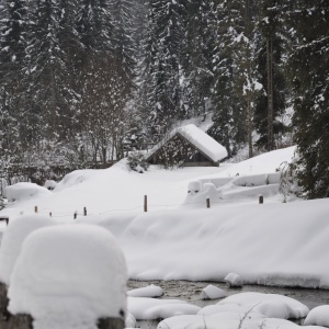 Winterurlaub am Ferienbauernhof Handl in der „Steirischen
Krakau“